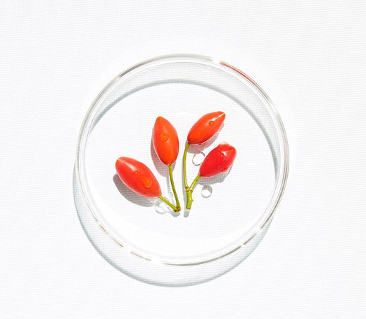 Baie de Goji